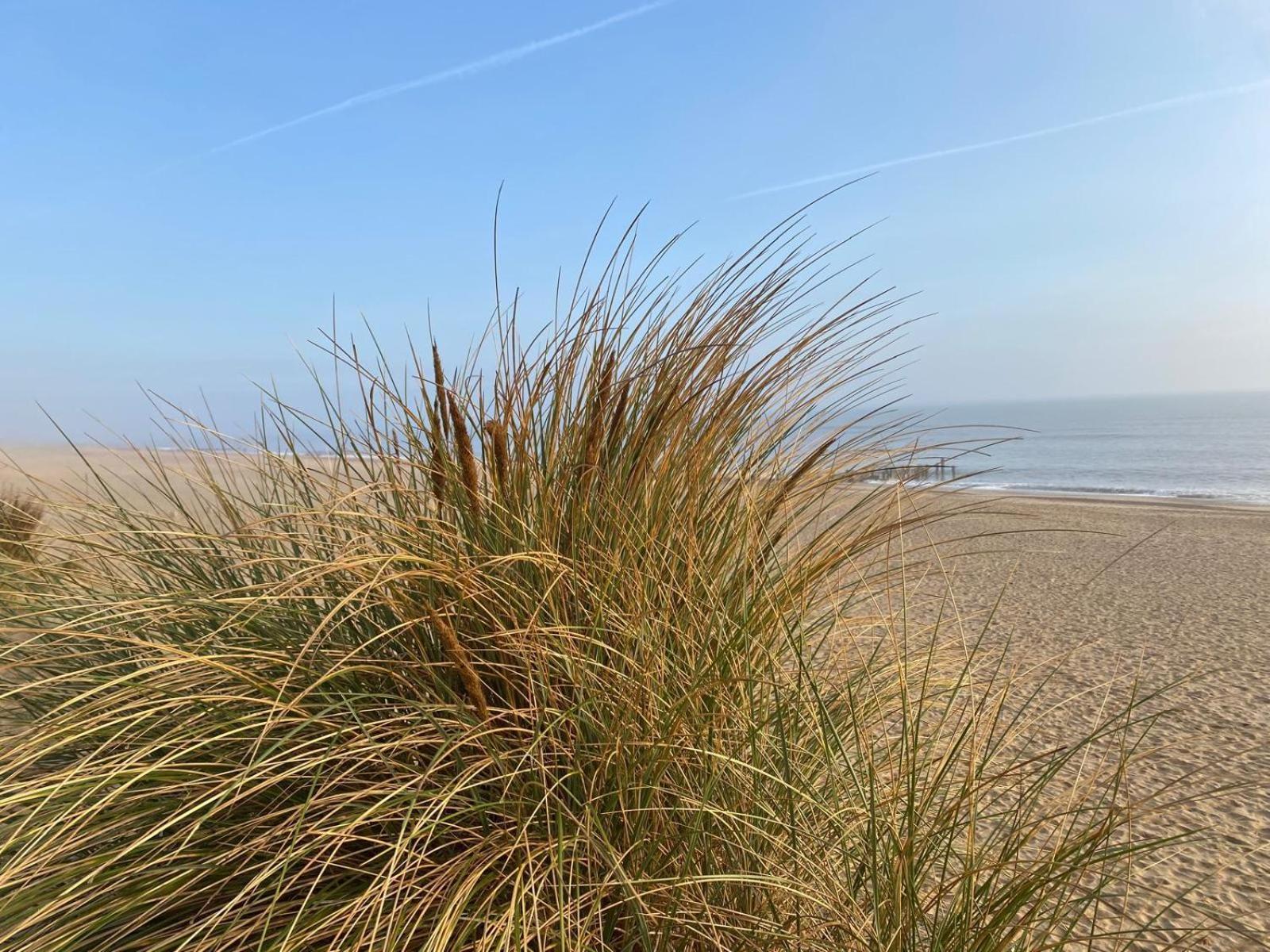 Happydaze Caravan Bacton (Norfolk) Exterior foto